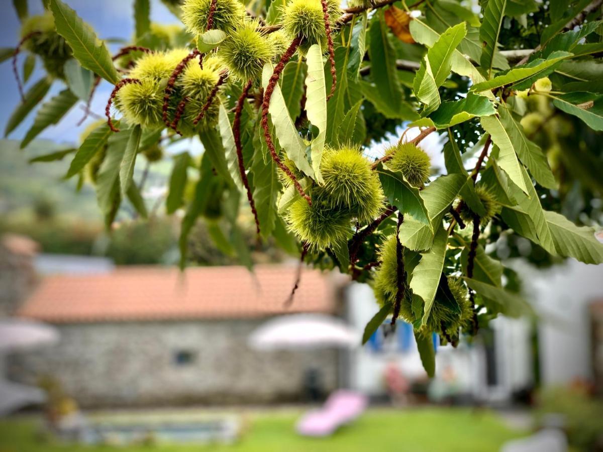 Casa Do Milhafre - Villaverde Azores Feteiras Eksteriør billede